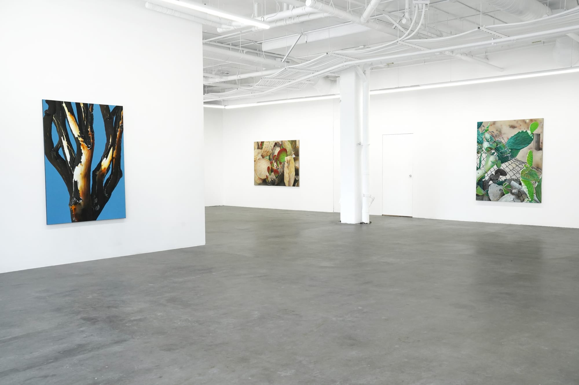 Adele Renault: Things I Can't Unsee