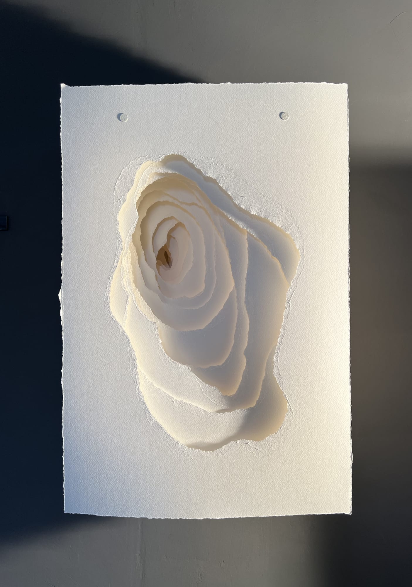 2022-079 Terforation Papier 200 g, gerissen, Halterung aus Metall und Kunststoff paper 200 g, torn, holder made of metal and plastic 59 x 39 x 21 cm copyright by the artist Angela Glajcar photo by Angela Glajcar courtesy of bechter kastowsky galerie