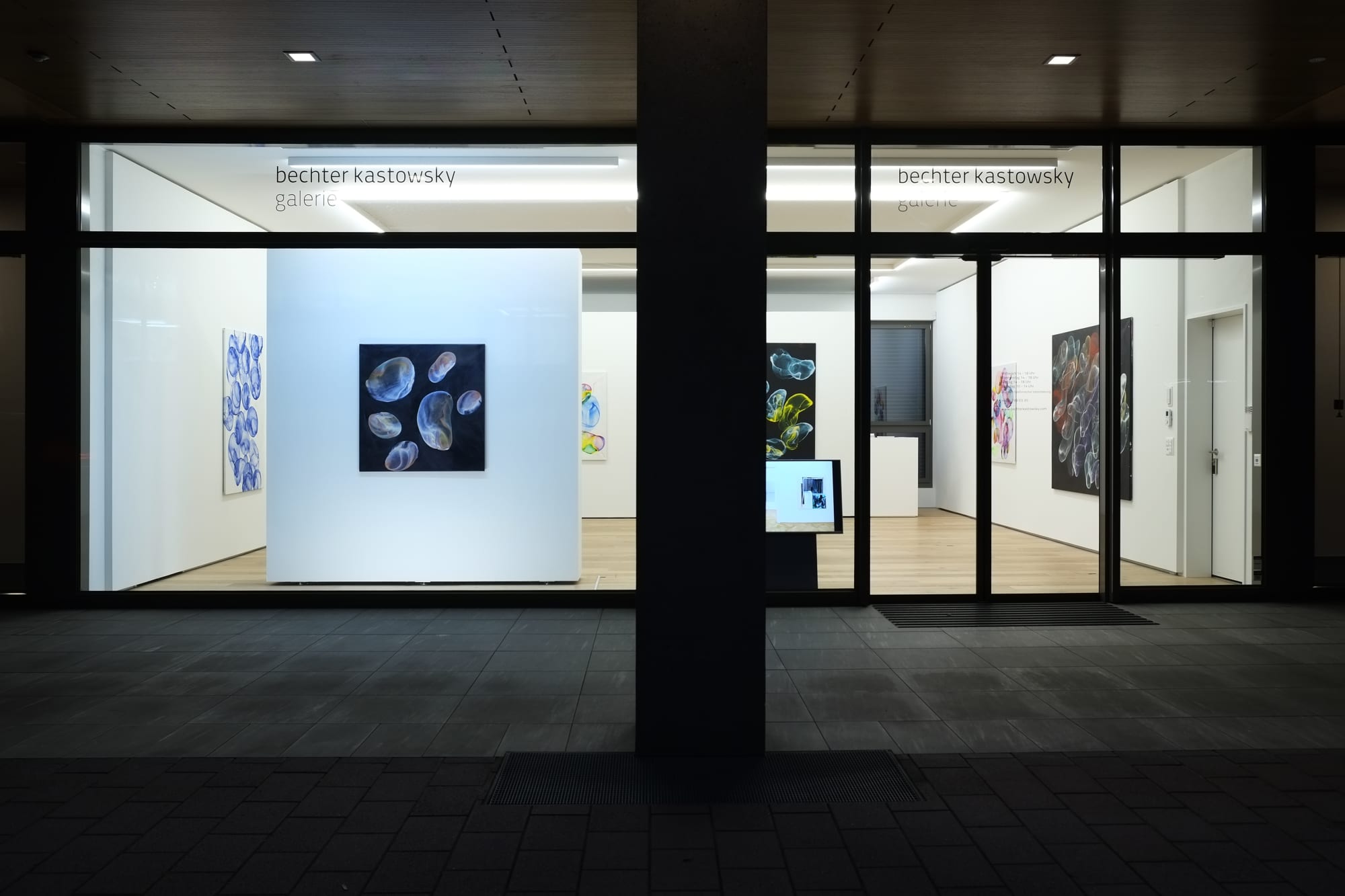 Jiří Georg Dokoupil