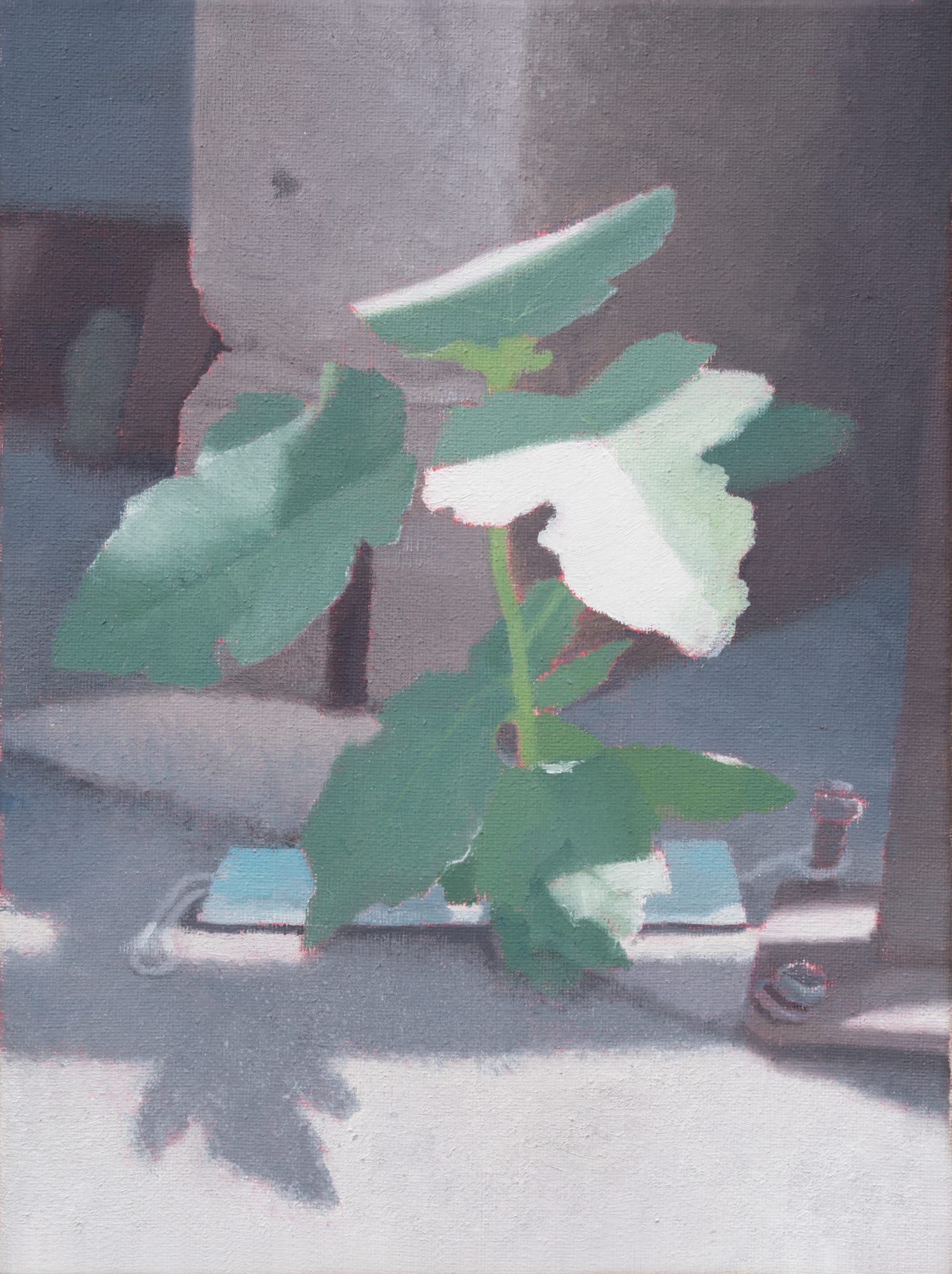 迈克尔·阿尔瓦雷斯