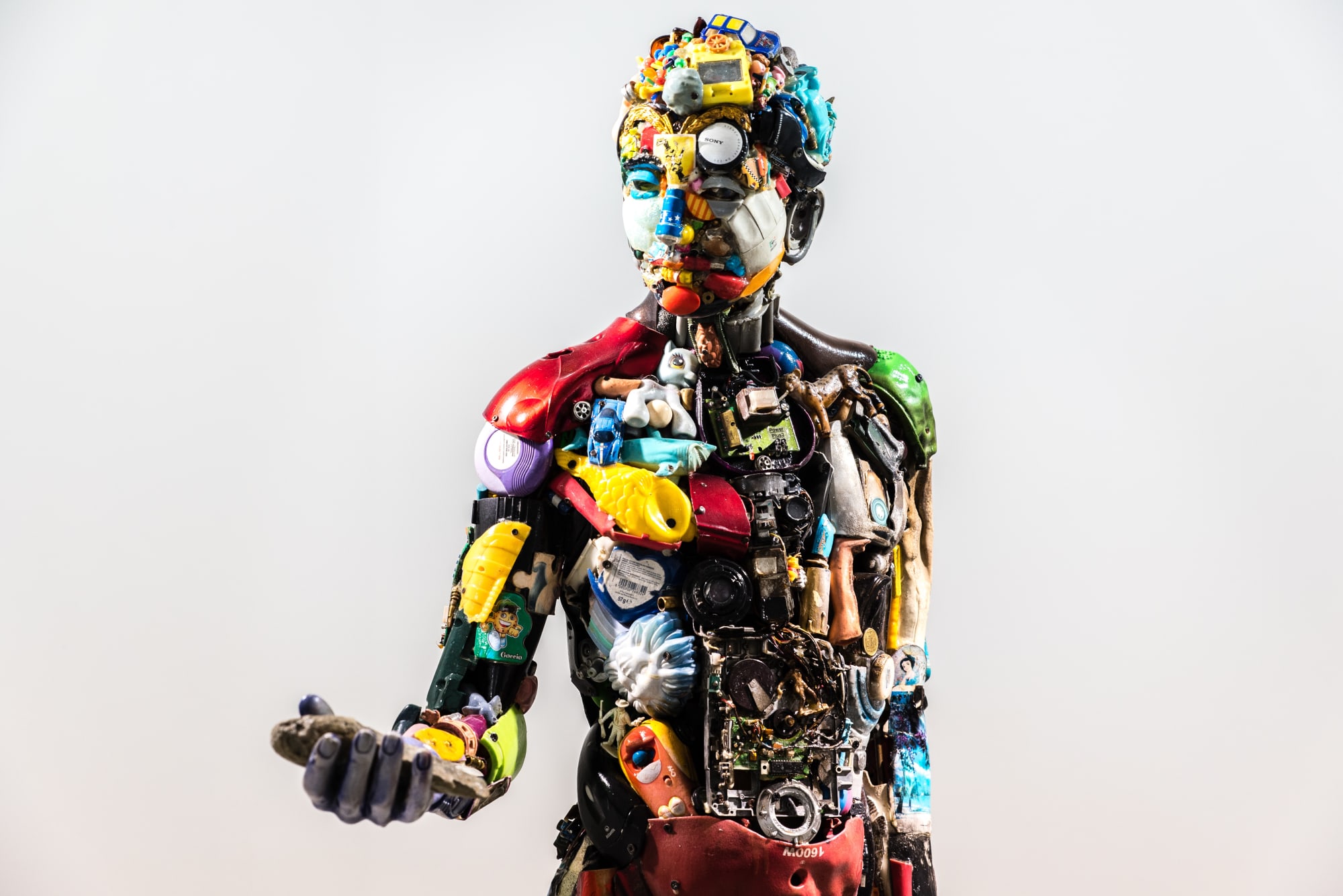 Anatomie di consumo