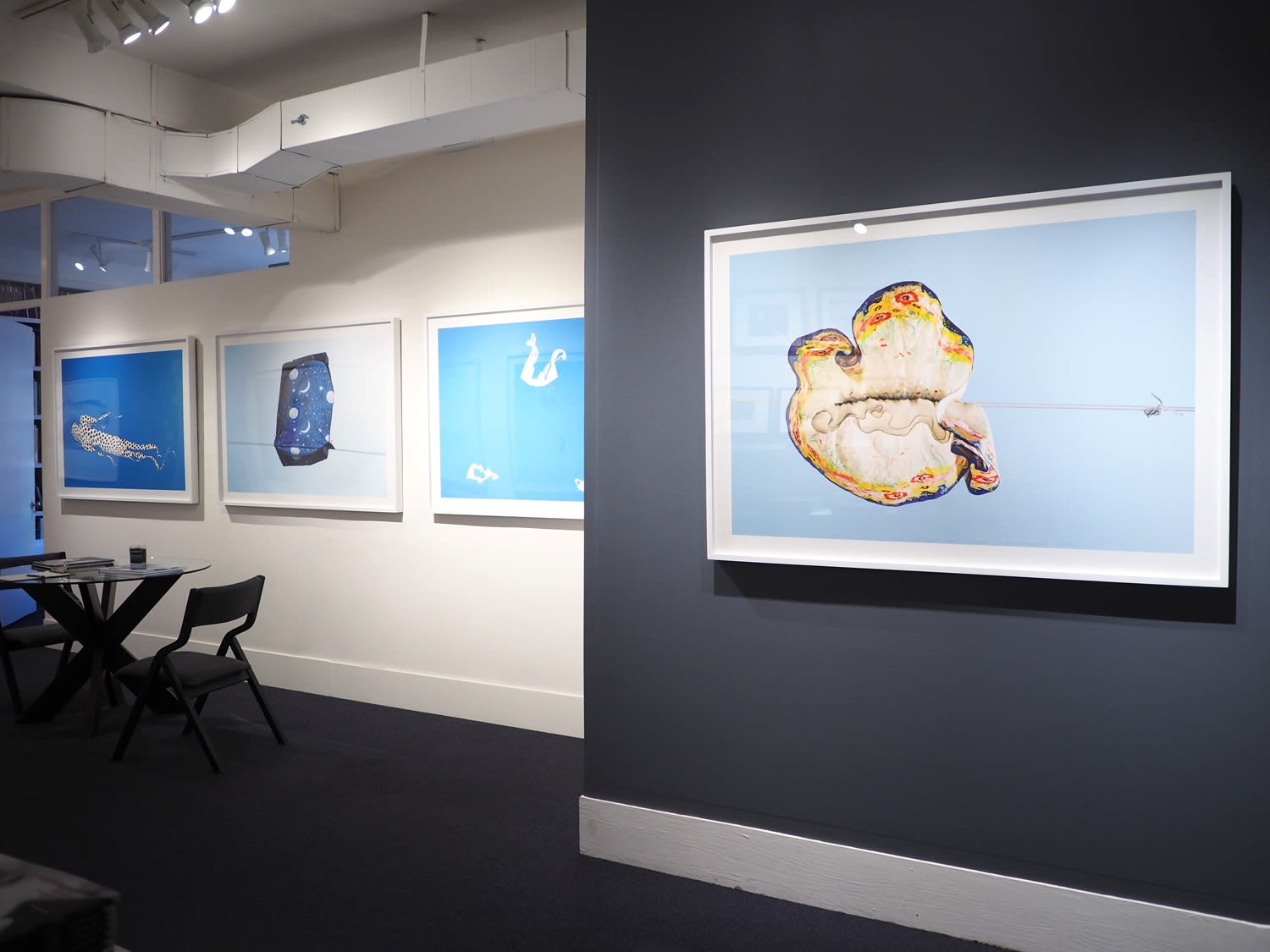 Sally Gall: Heavenly Creatures