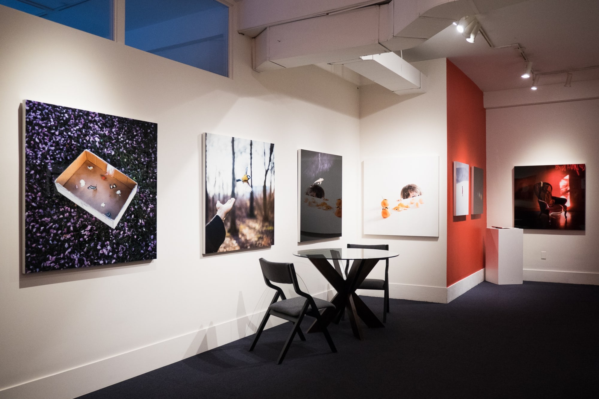 Cig Harvey: You an Orchestra You a Bomb