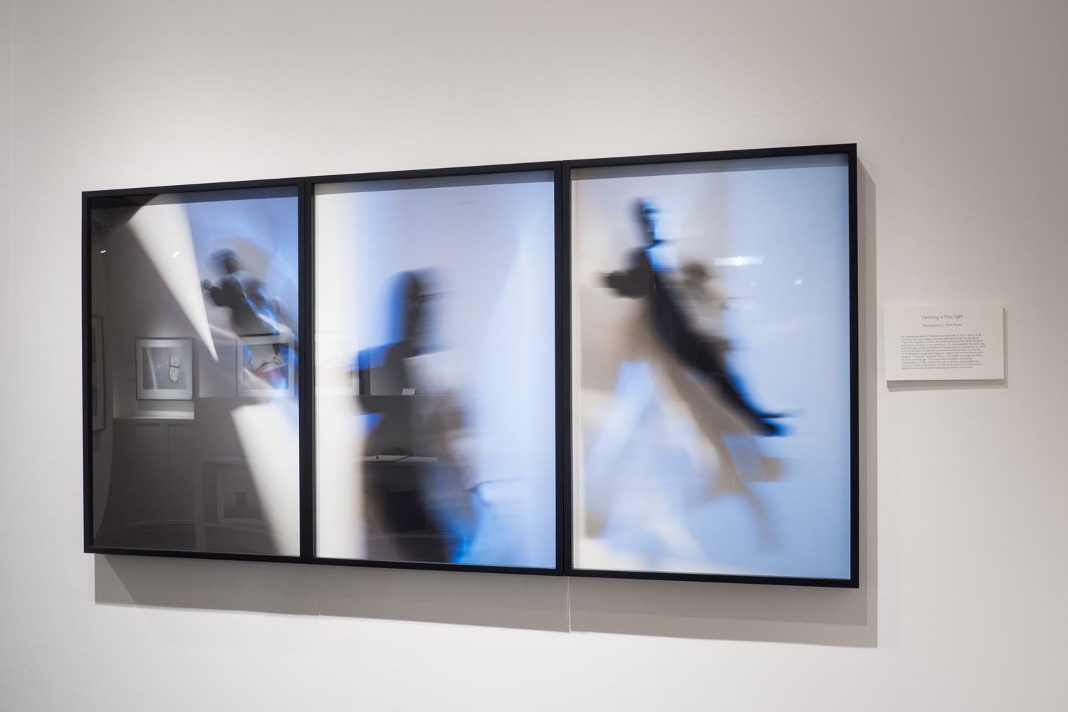 Olivia Parker: Vanishing in Plain Sight