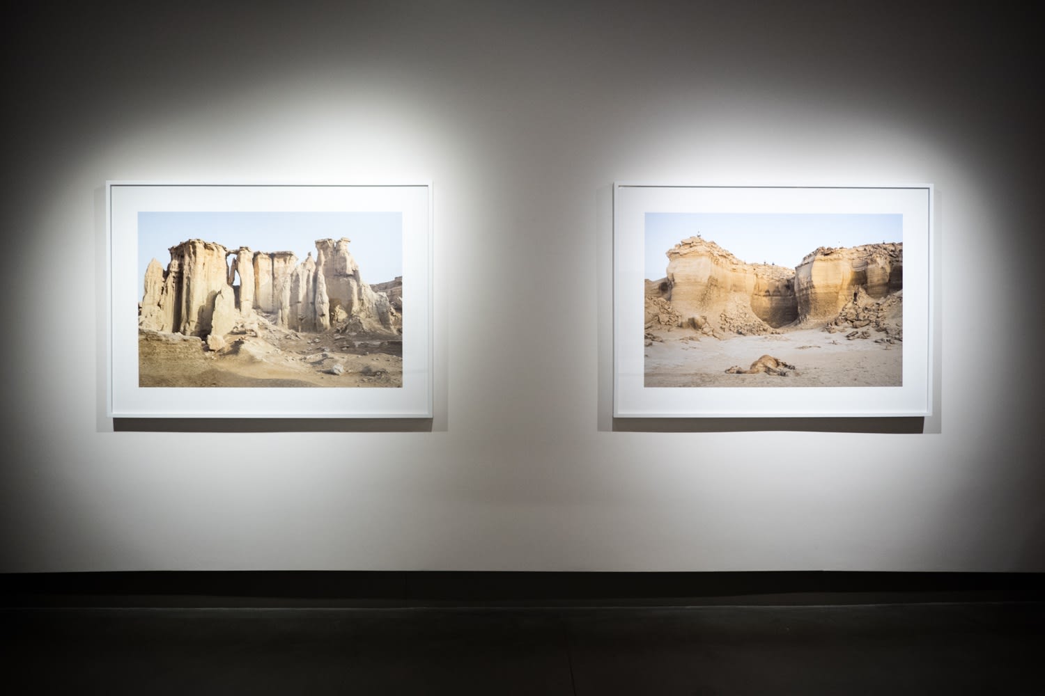 Gohar Dashti: Stateless