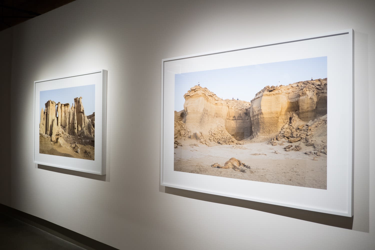 Gohar Dashti: Stateless