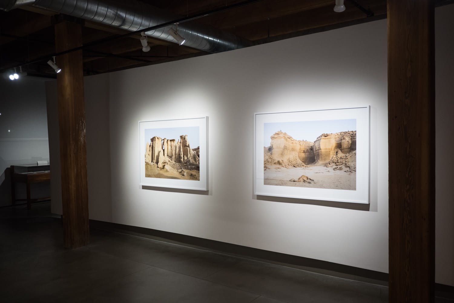 Gohar Dashti: Stateless