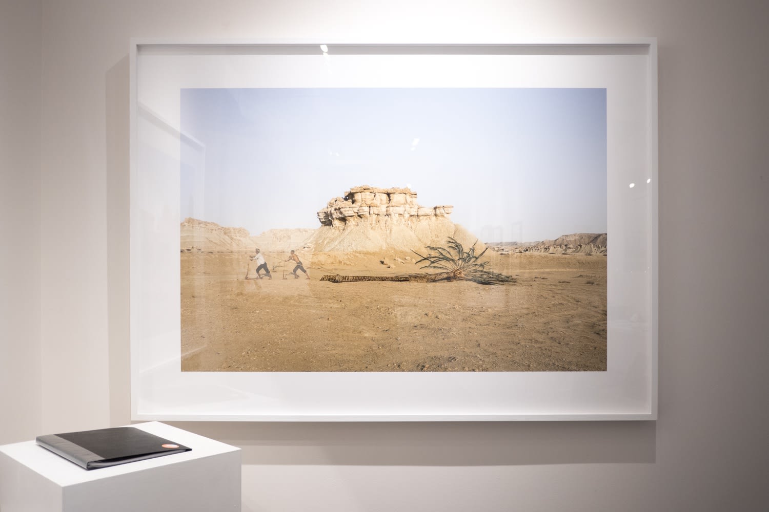 Paris Photo in Boston