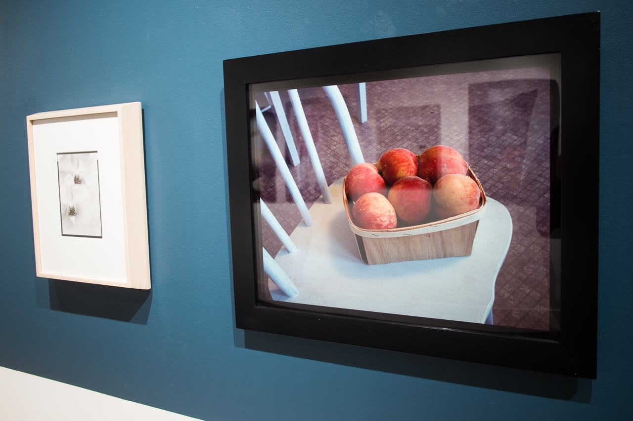 Olivia Parker: Still/Life