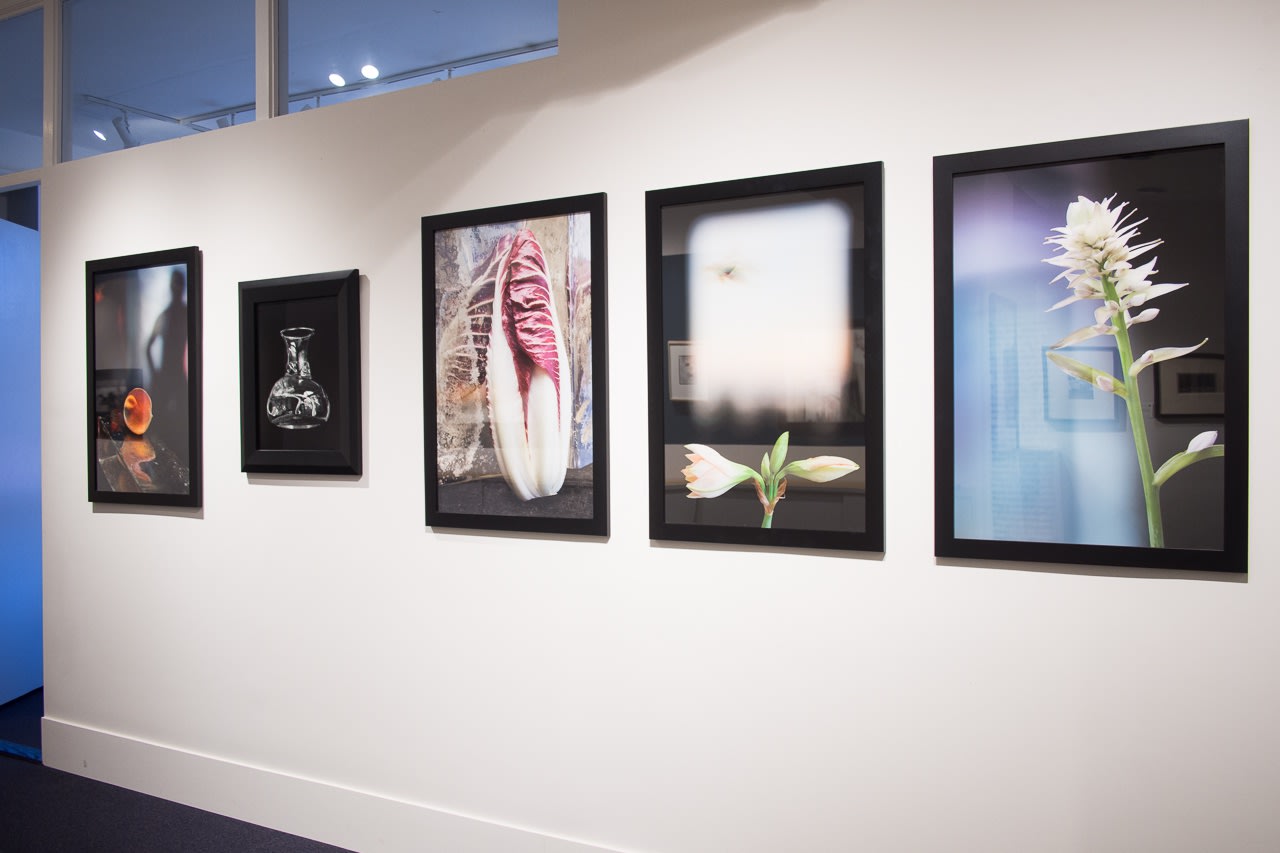 Olivia Parker: Still/Life