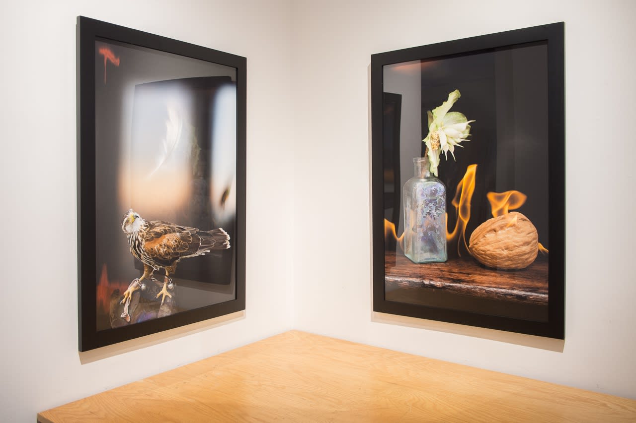 Olivia Parker: Still/Life