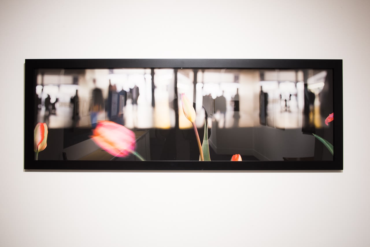 Olivia Parker: Still/Life