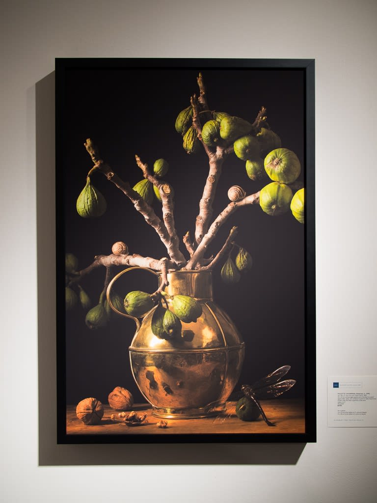 Paulette Tavormina - Black & Bloom: Still Lifes