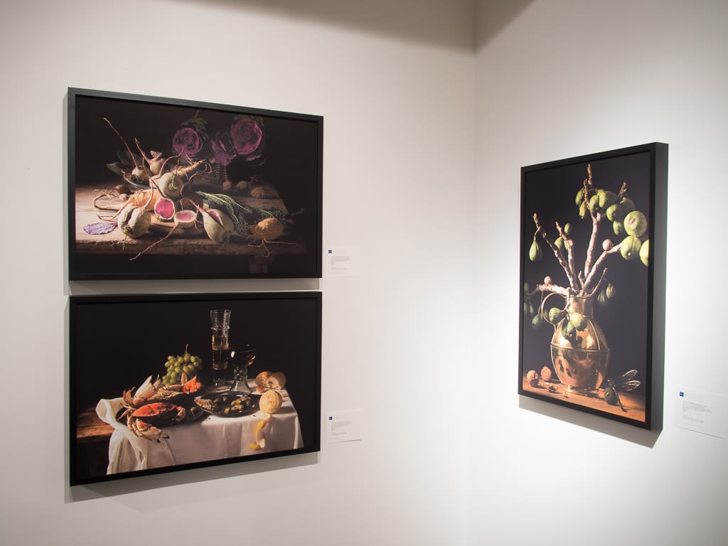 Paulette Tavormina - Black & Bloom: Still Lifes