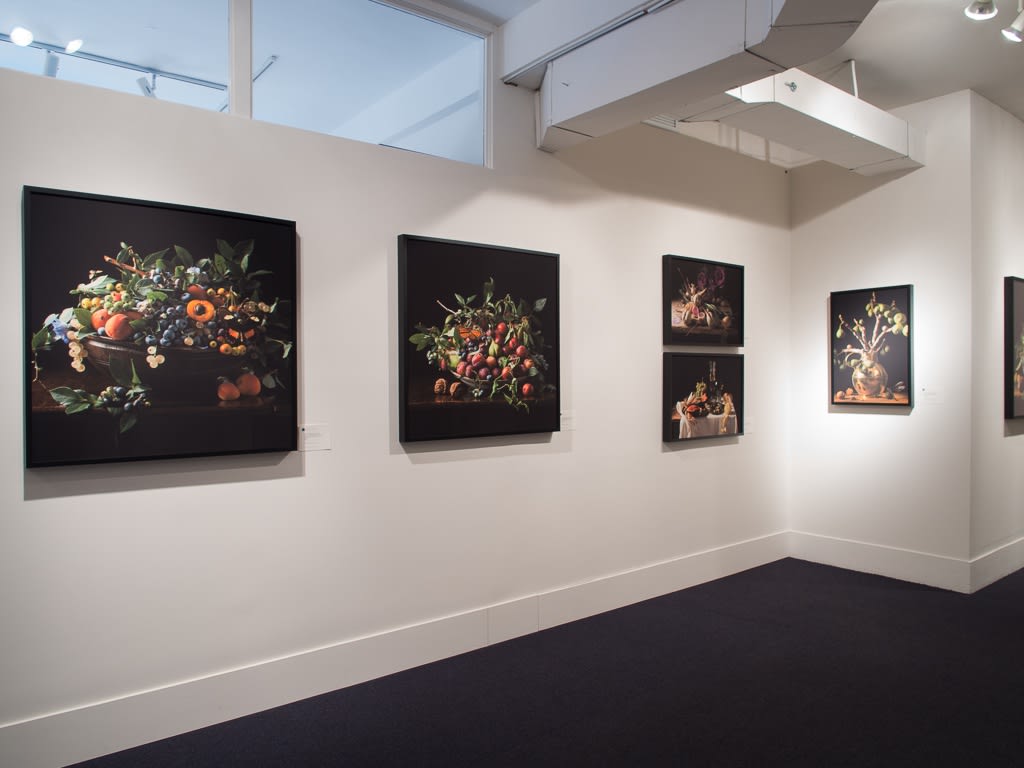 Paulette Tavormina - Black & Bloom: Still Lifes