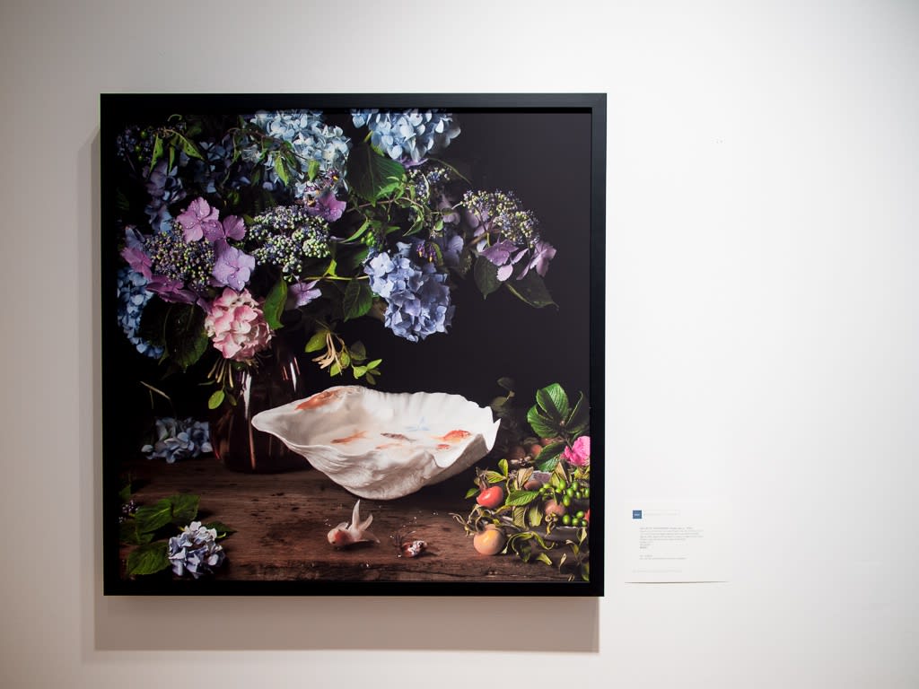 Paulette Tavormina - Black & Bloom: Still Lifes