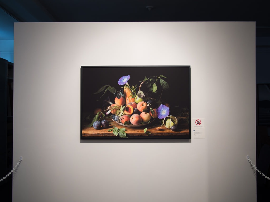 Paulette Tavormina - Black & Bloom: Still Lifes