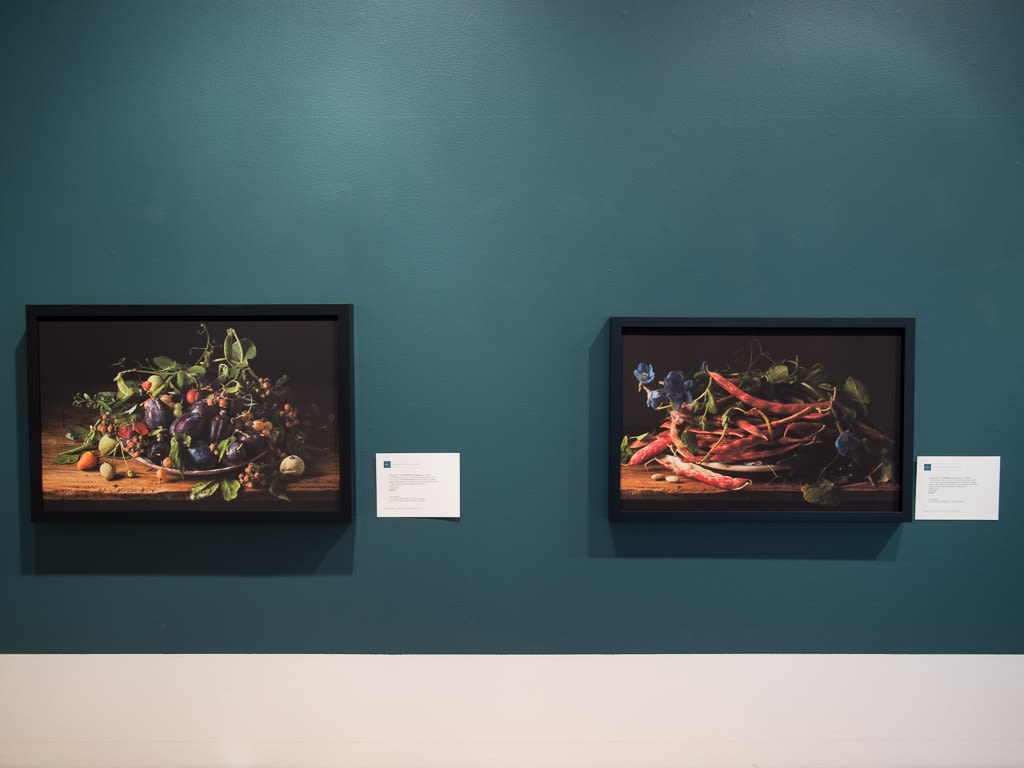 Paulette Tavormina - Black & Bloom: Still Lifes