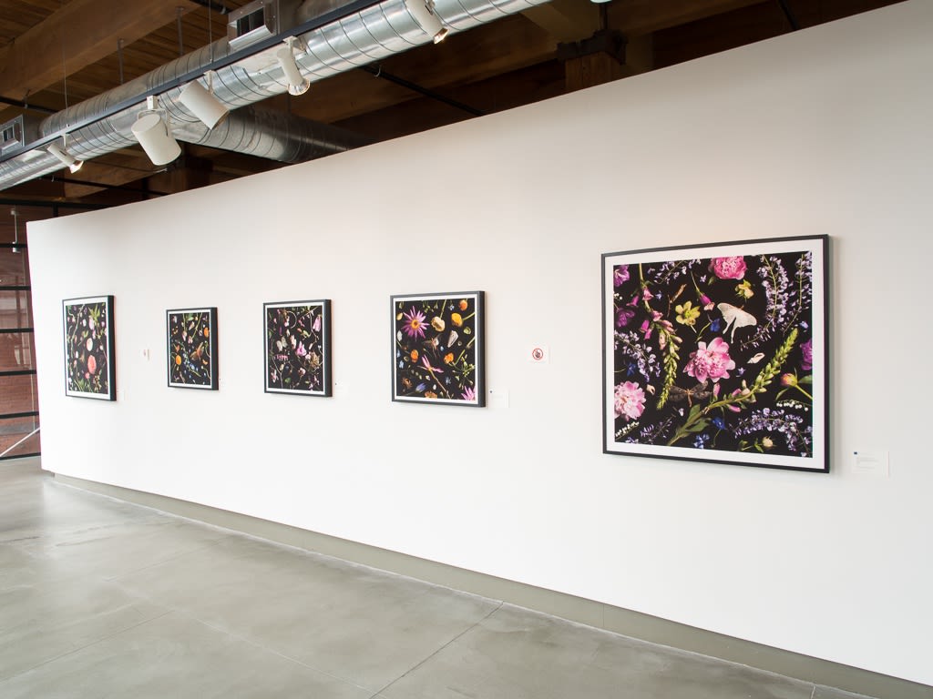 Paulette Tavormina - Black & Bloom: Botanicals