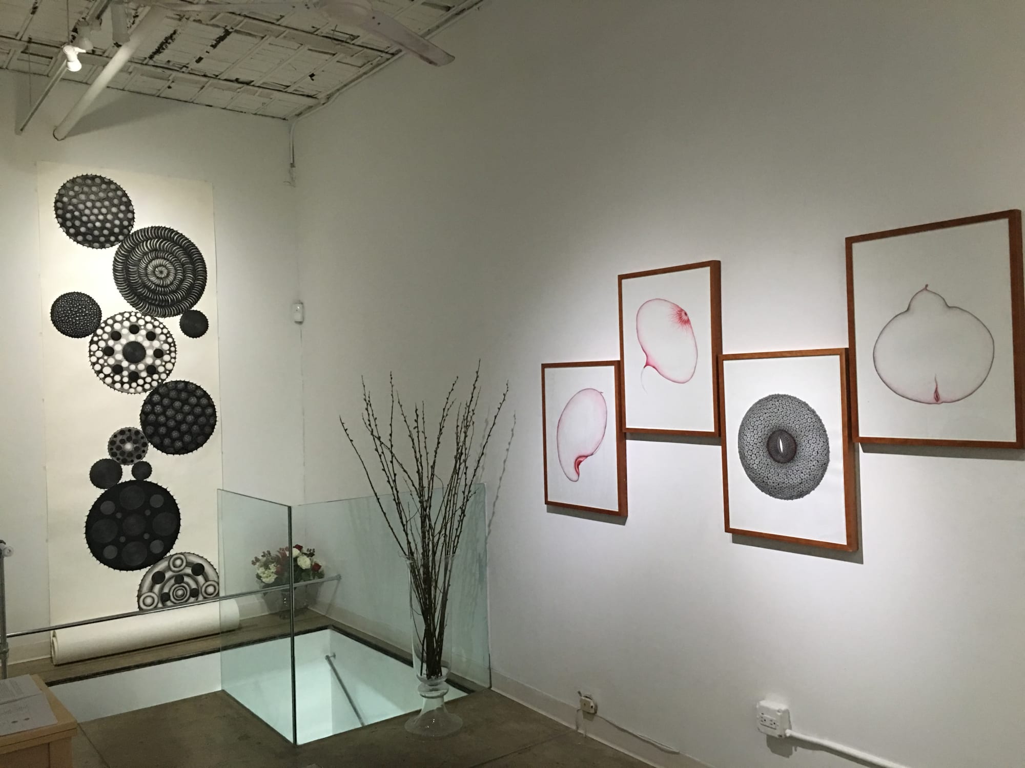 Sky Kim: Divine Thread