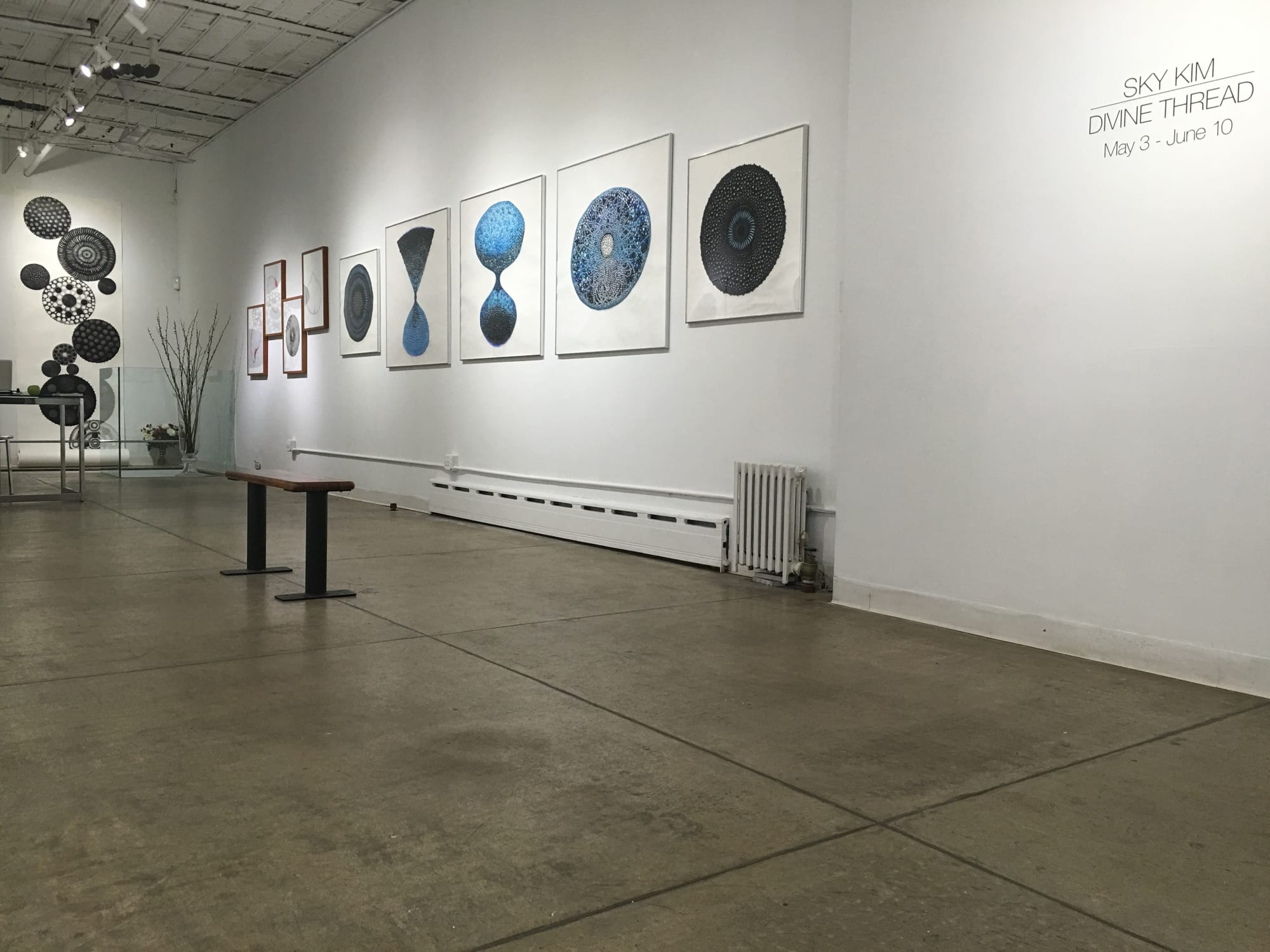 Sky Kim: Divine Thread