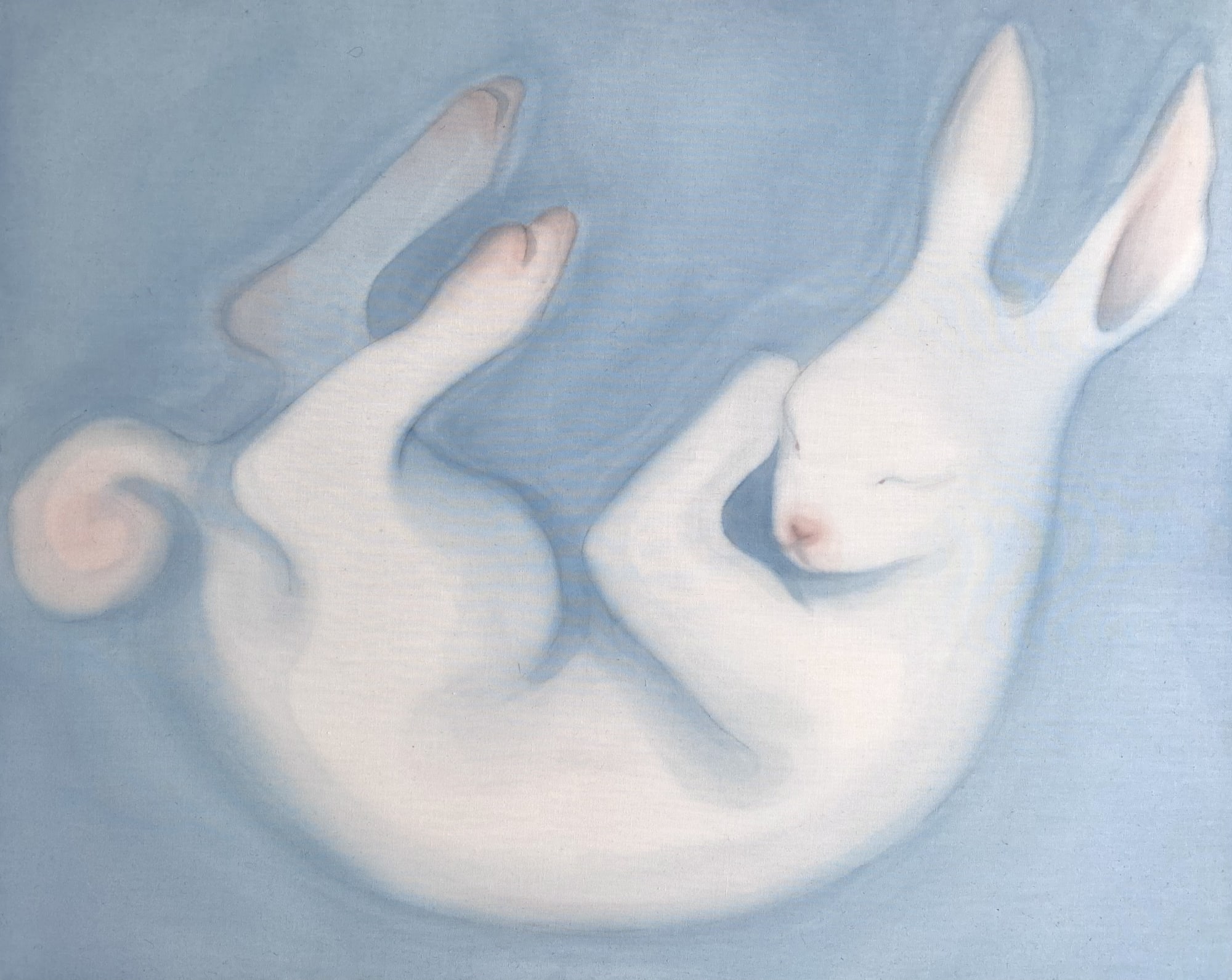 Naomi Boiko-Stapleton