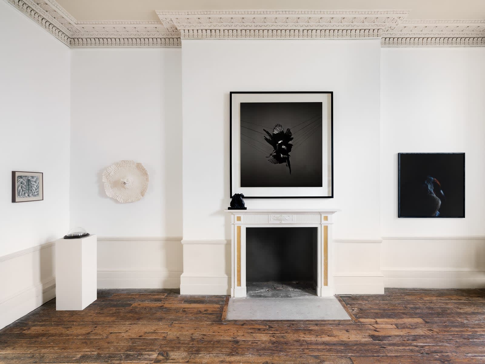 The Conference of the Birds