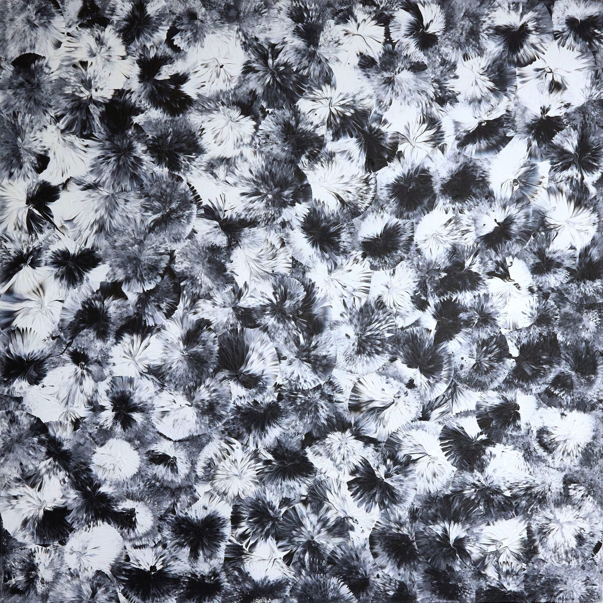 2022 Mixed Media 100 x 100 cm Impact Series