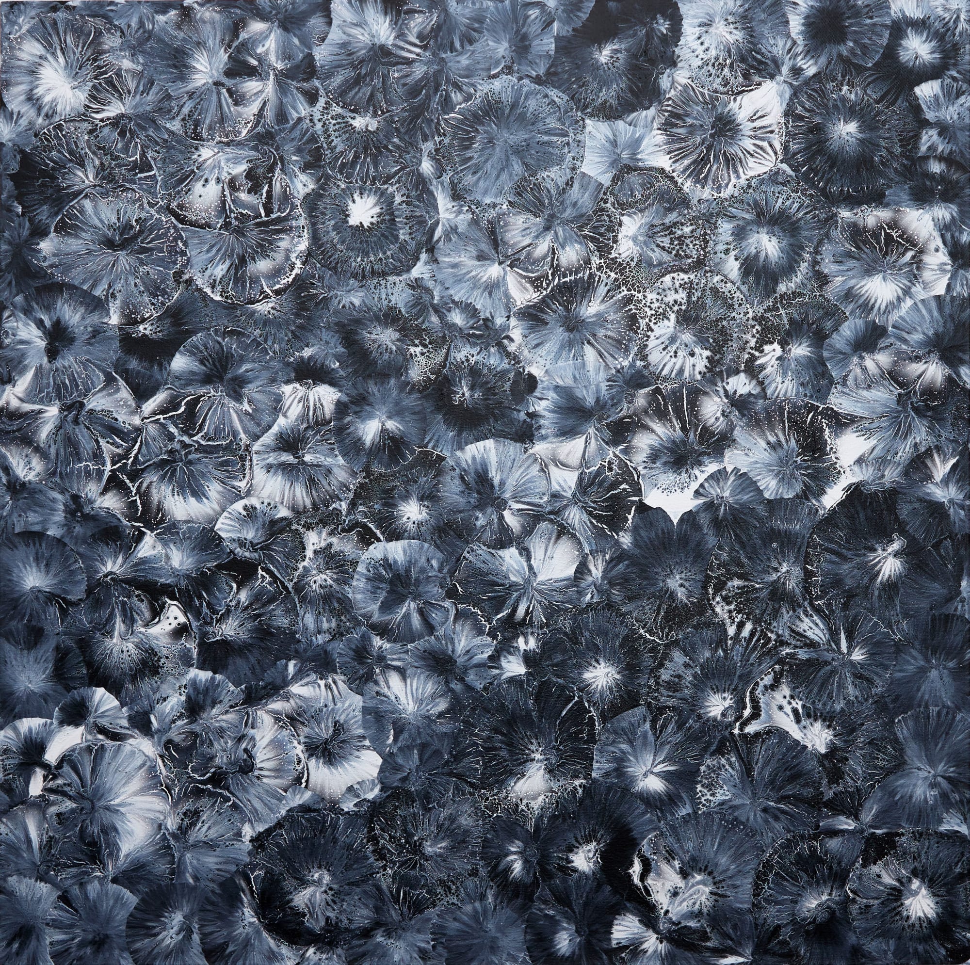 2022 Mixed Media 100 x 100 cm Impact Series