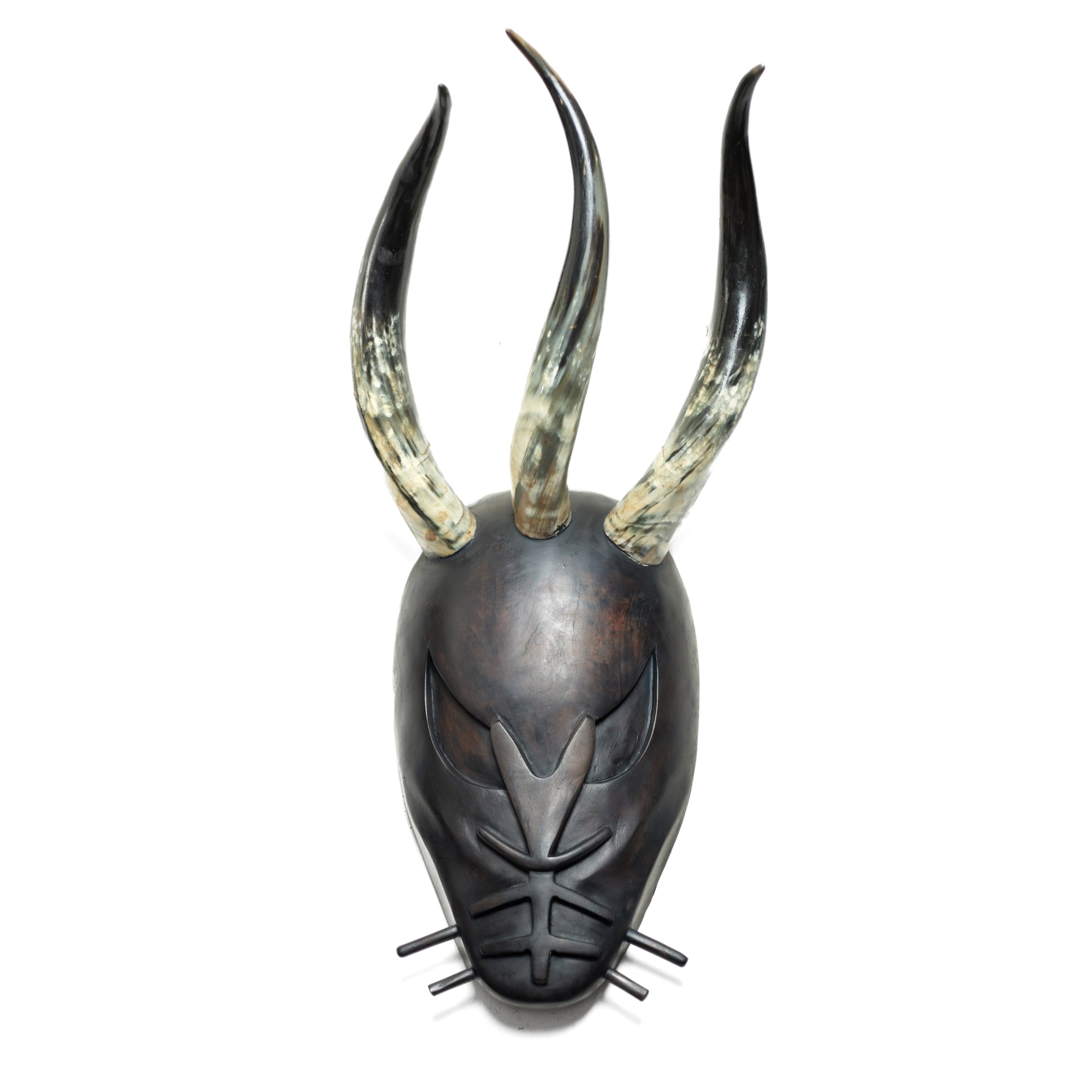 THE WARRIOR 2024 Gmelania Wood, Ram Horns 30 x 90 x 30 cm