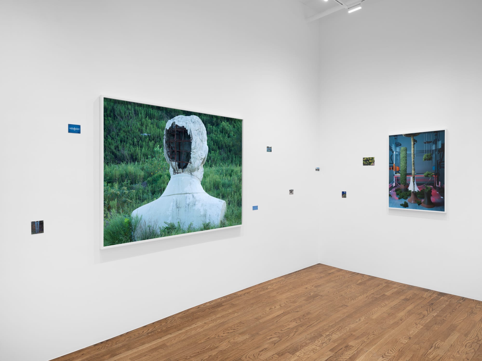 Caleb Stein and Andrea Orejarena