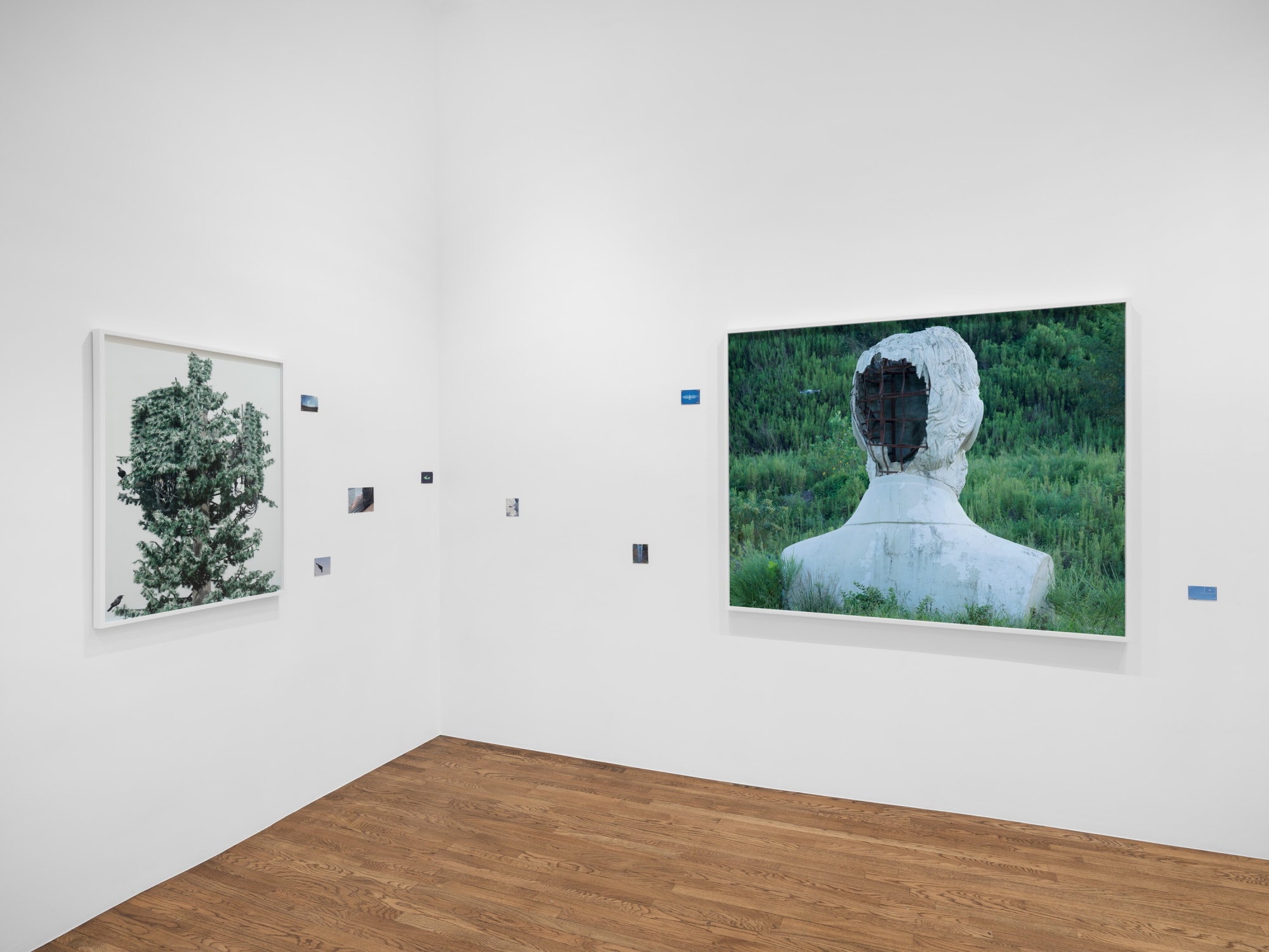 Caleb Stein and Andrea Orejarena