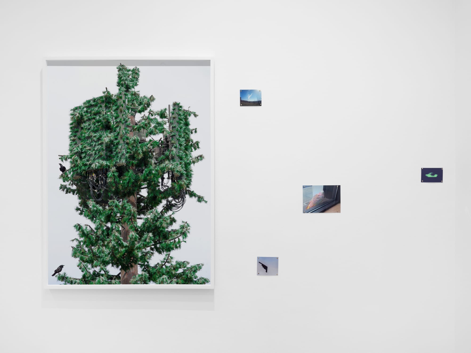 Caleb Stein and Andrea Orejarena