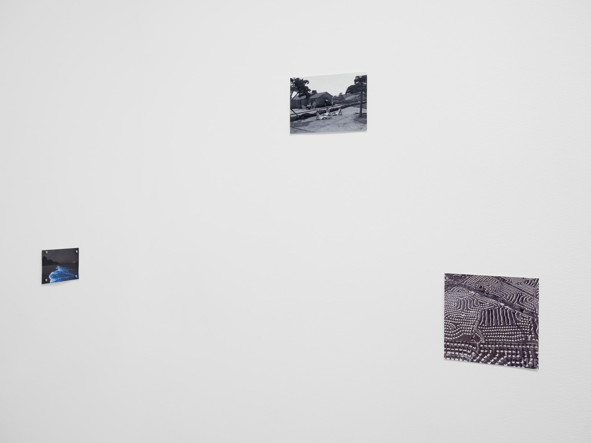 Caleb Stein and Andrea Orejarena