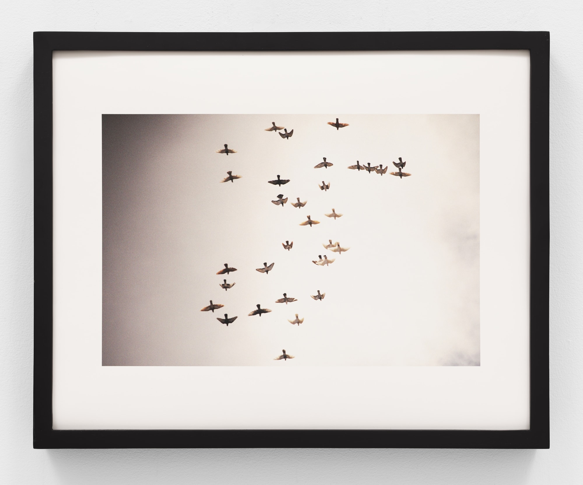 Ameen Abo Kaseem Damascus, Syria. 29-1-2021, 2021 Chromogenic print 11¾ x 16½ in. 16 x 20 in. (framed)