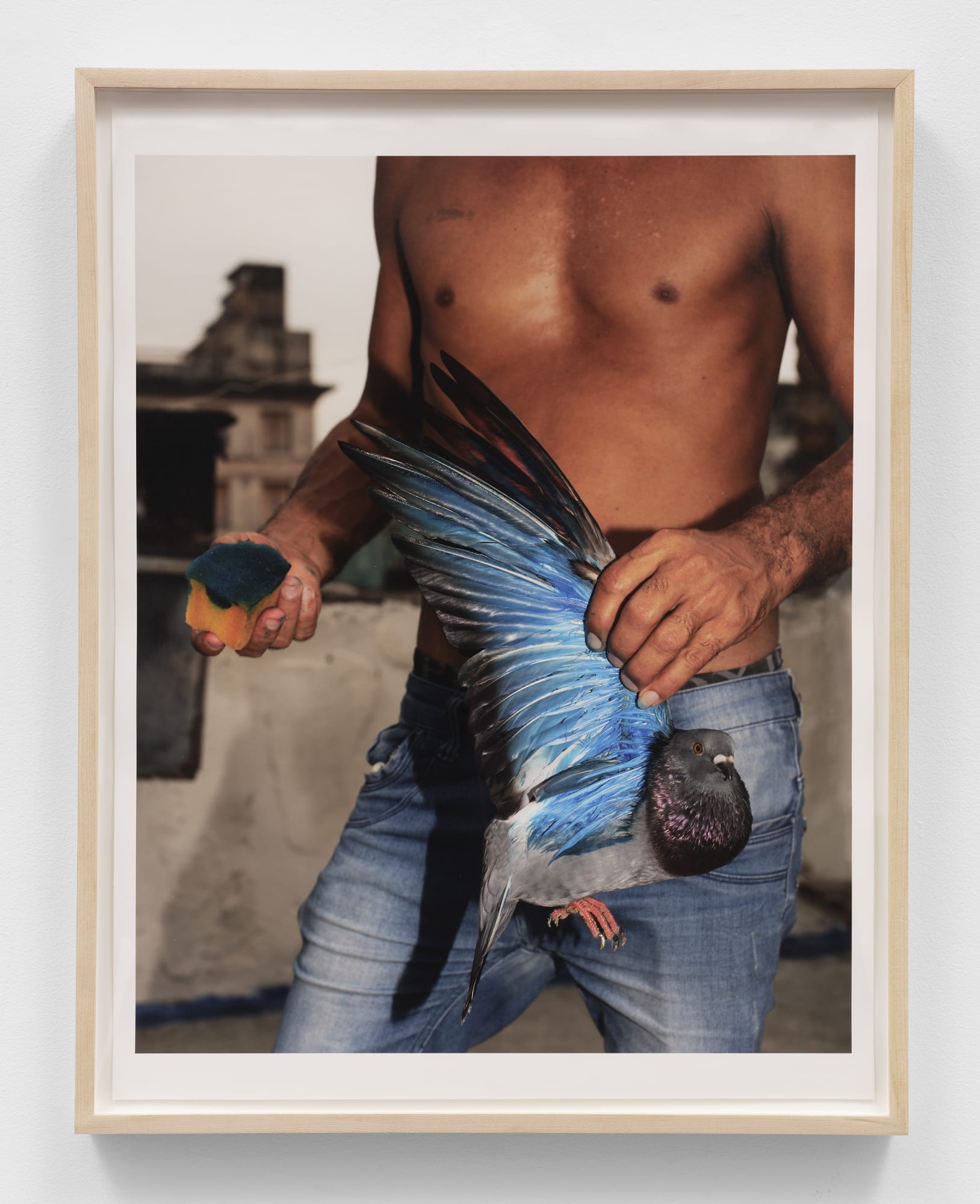 Carlos Jaramillo Untitled (Erislandy con Paloma), 2019 Archival pigment print 20 x 16 in. 27⅝ x 21¾ in. (framed)