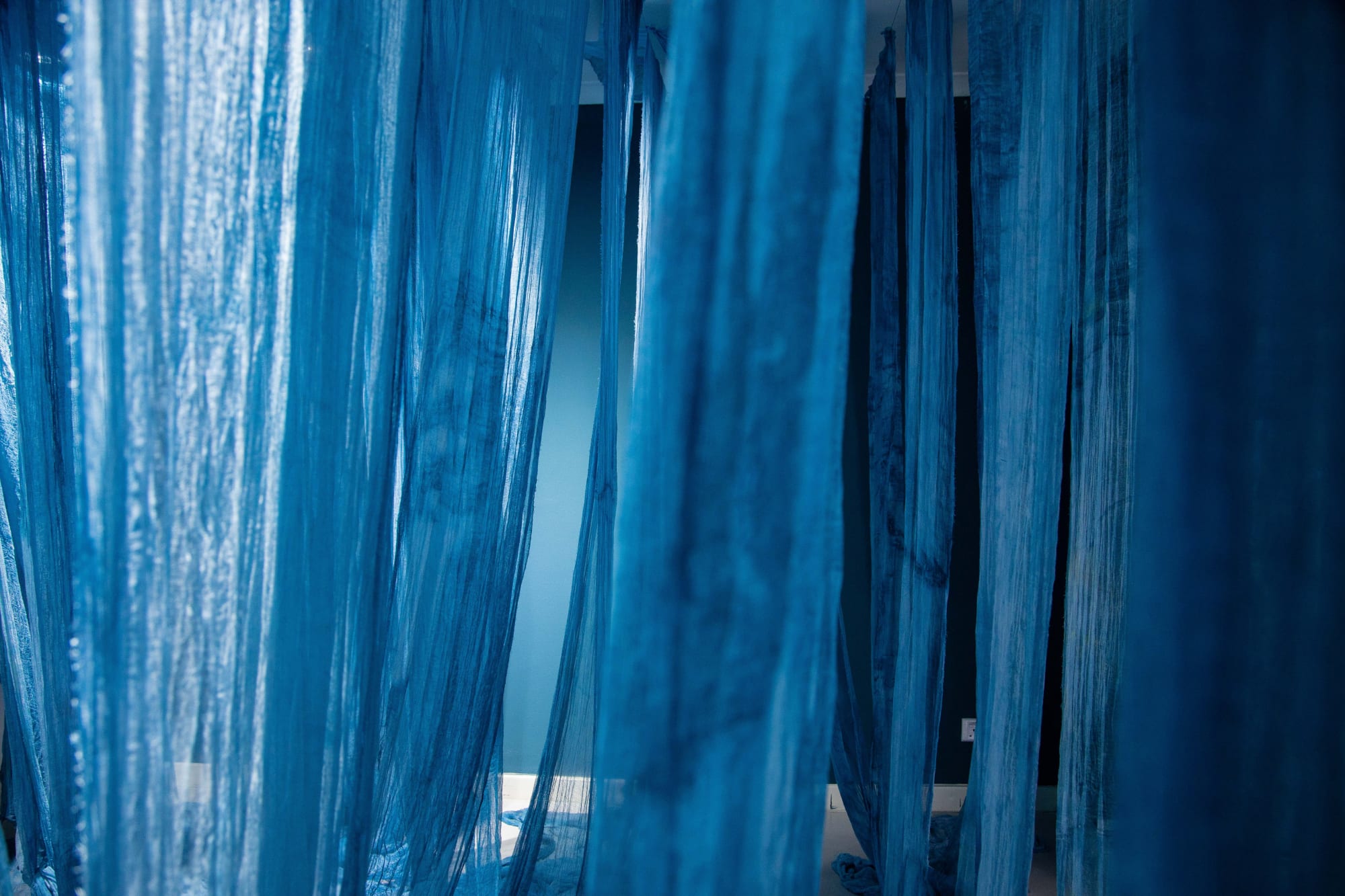 Sabrina Coleman-Pinheiro: Feeling Blue, Seeking Solace