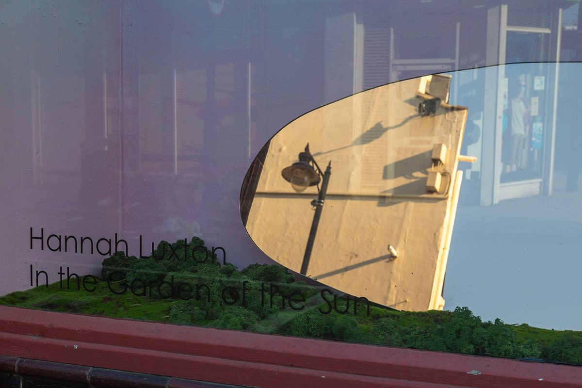 In the Garden of the Sun