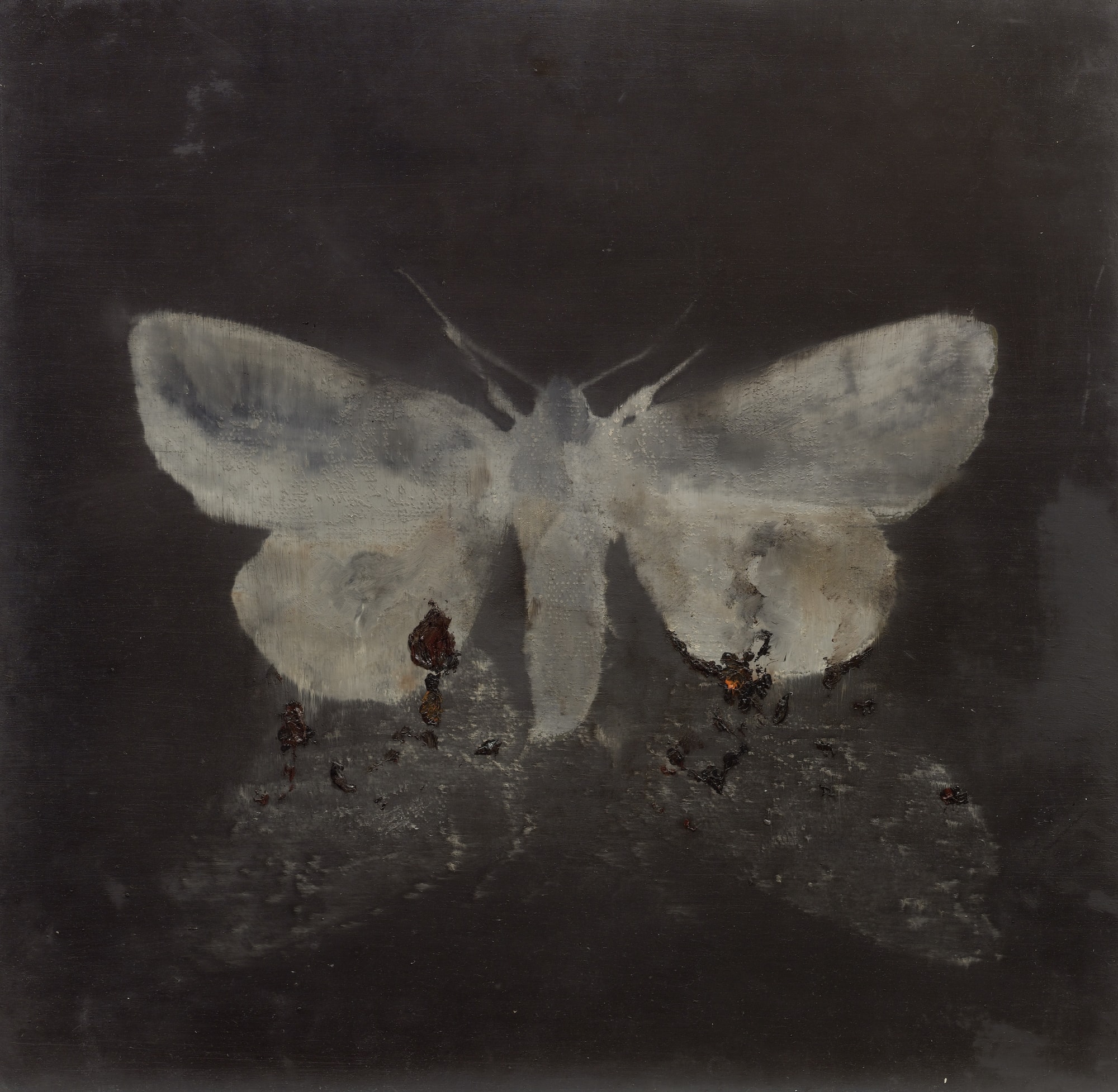 Magnus Thorén, moth on moth, 2015