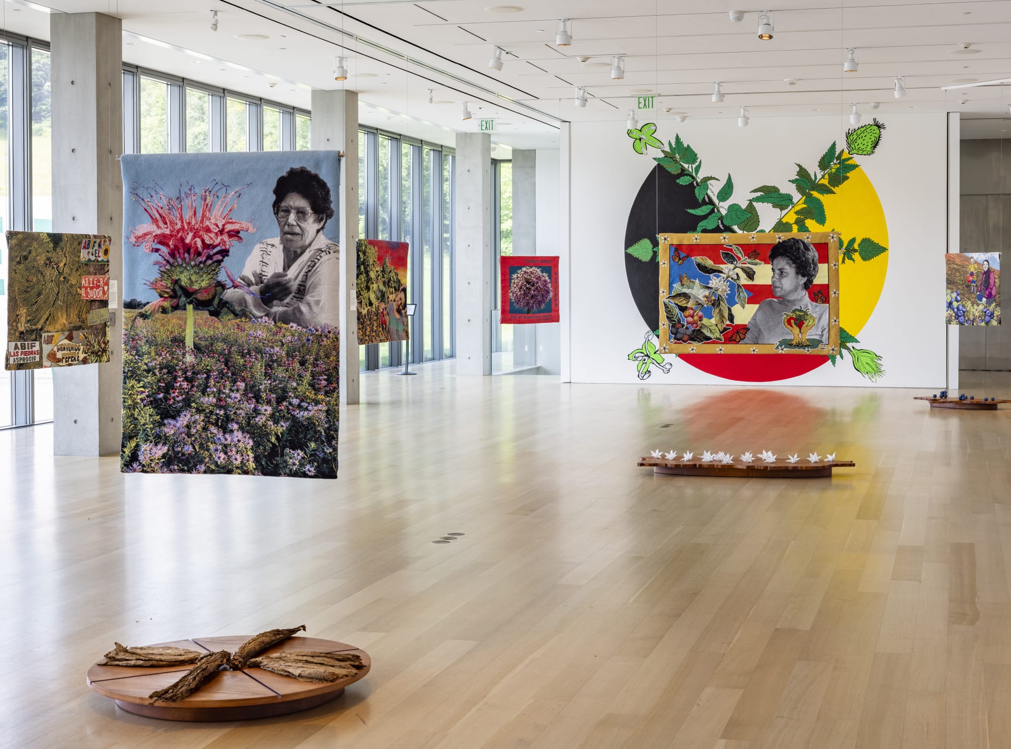 Carolina Caycedo in 'Humane Ecology: Eight Positions,' Clark Art Institute, 2023.