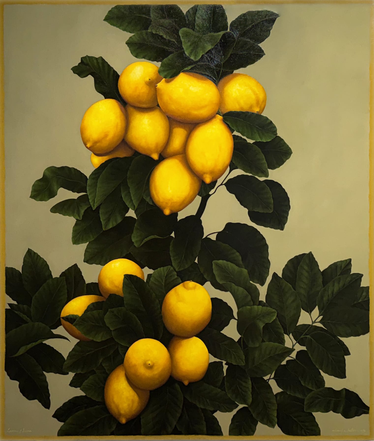 Edward A. Butler, 47 1/4" x 39 1/2"