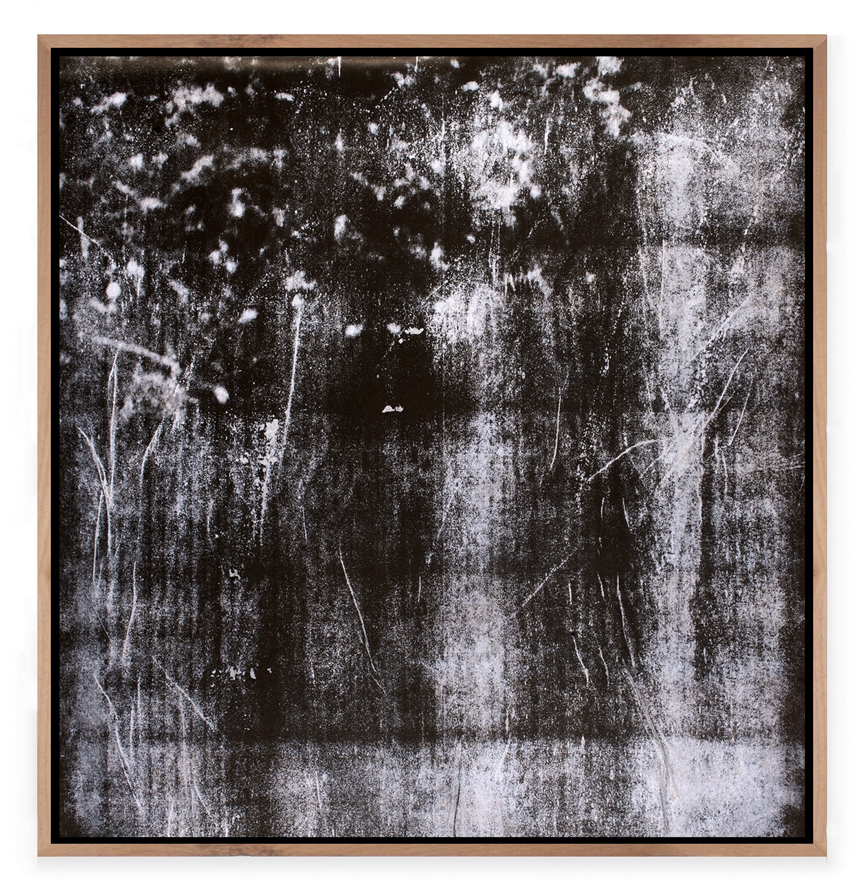 Pietro Bologna, Elegìa, (Elegy), 2025