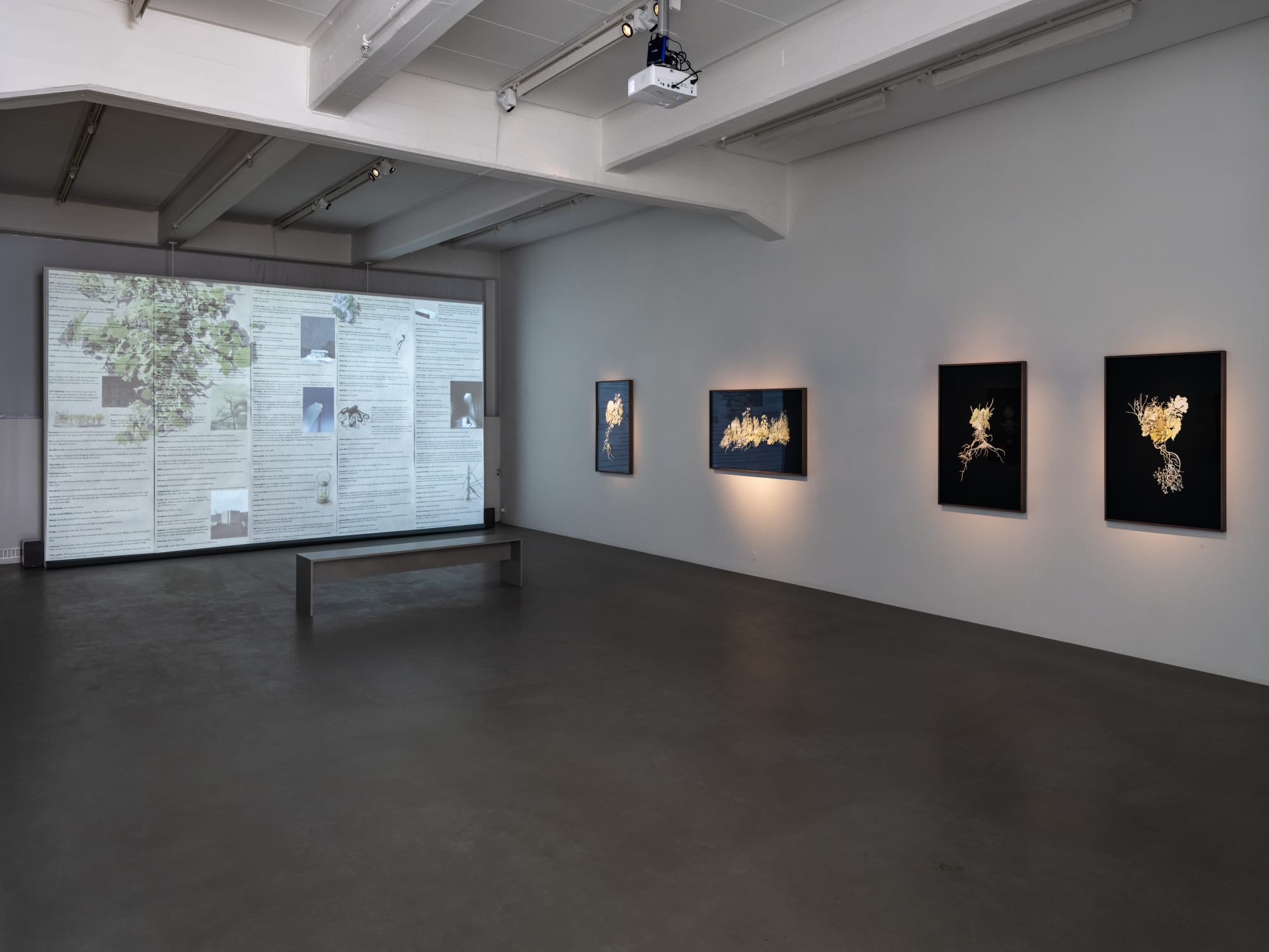 Installation view, Johannes Heldén, Emergence, 2024, Cecilia Hillström Gallery. Photo: Jean-Baptiste Béranger.