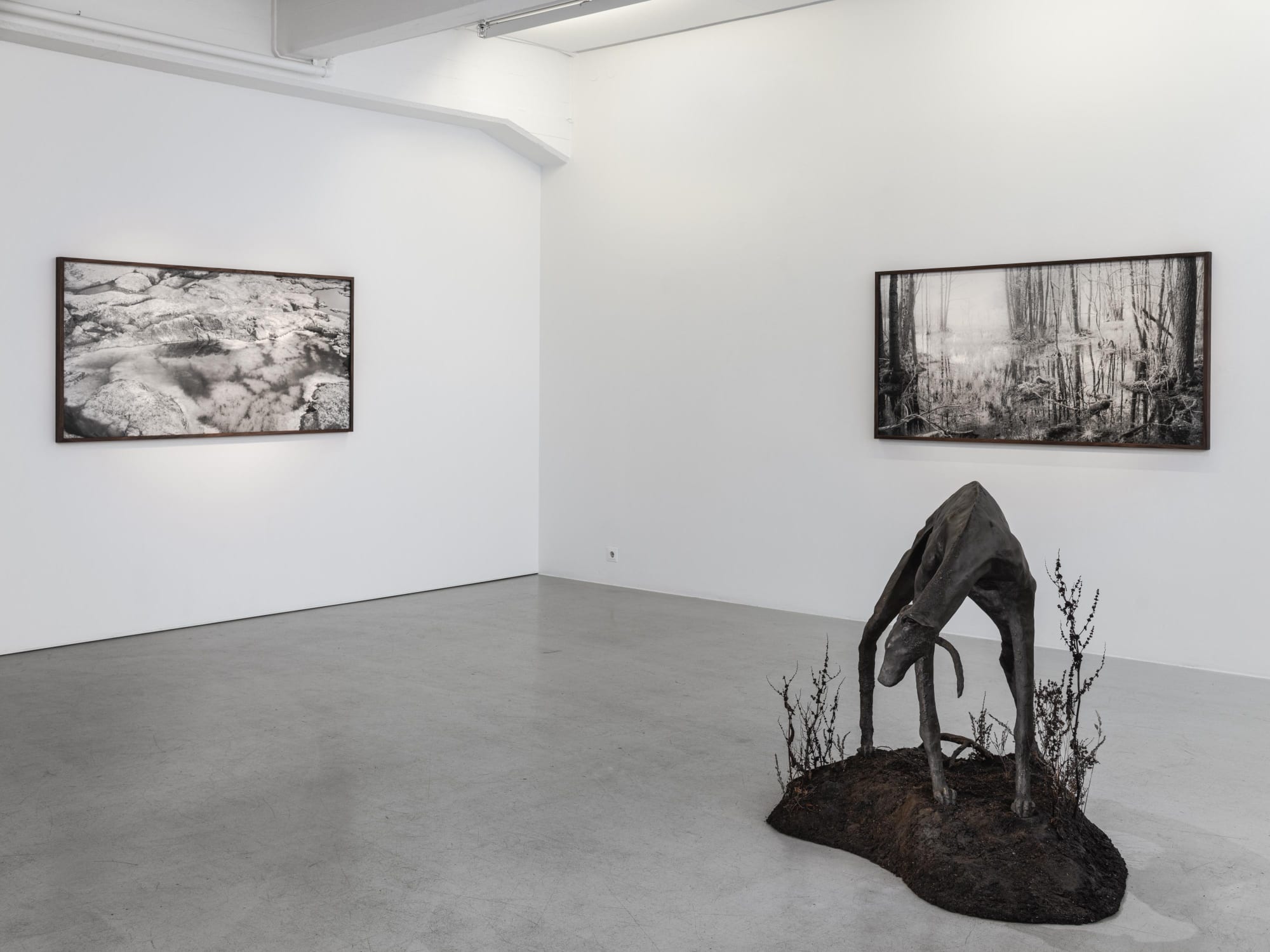 Installation view, Lovisa Ringborg, Silver och svart, 2021, Cecilia Hillström Gallery. Photo: Jean-Baptiste Béranger