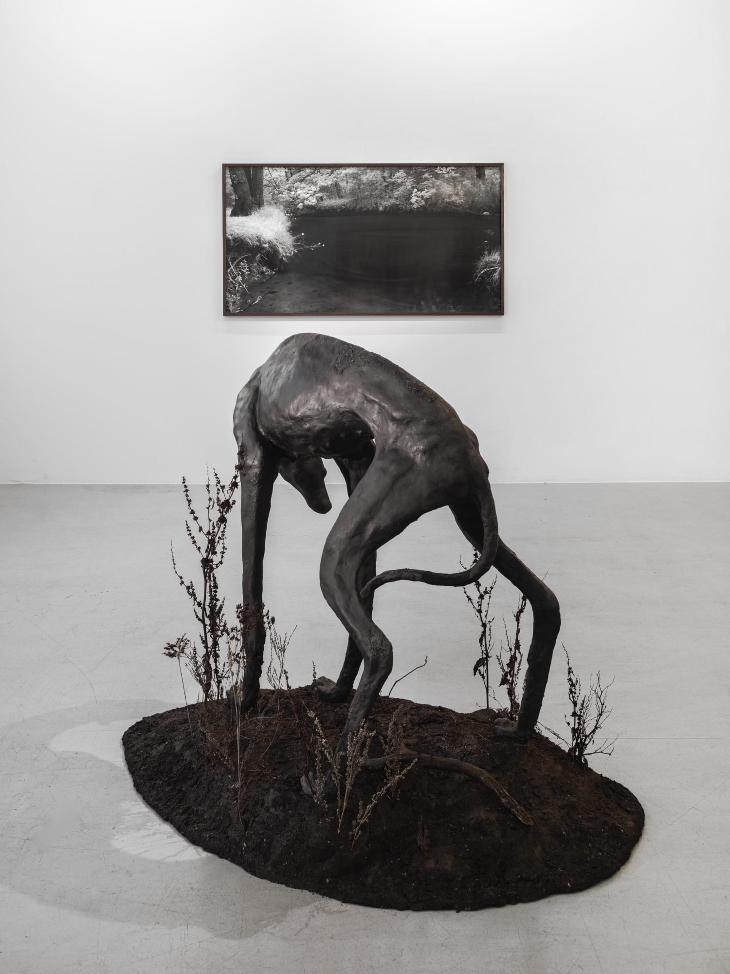 Installation view, Lovisa Ringborg, Silver och svart, 2021, Cecilia Hillström Gallery. Photo: Jean-Baptiste Béranger