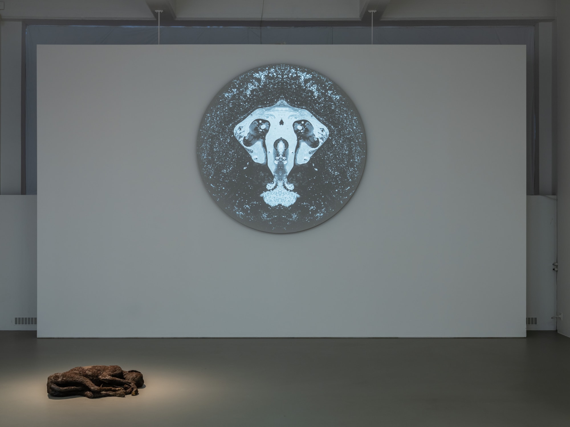 Installation view, Lovisa Ringborg, Skuggrummet, 2020, Cecilia Hillström Gallery. Photo: Jean-Baptiste Béranger