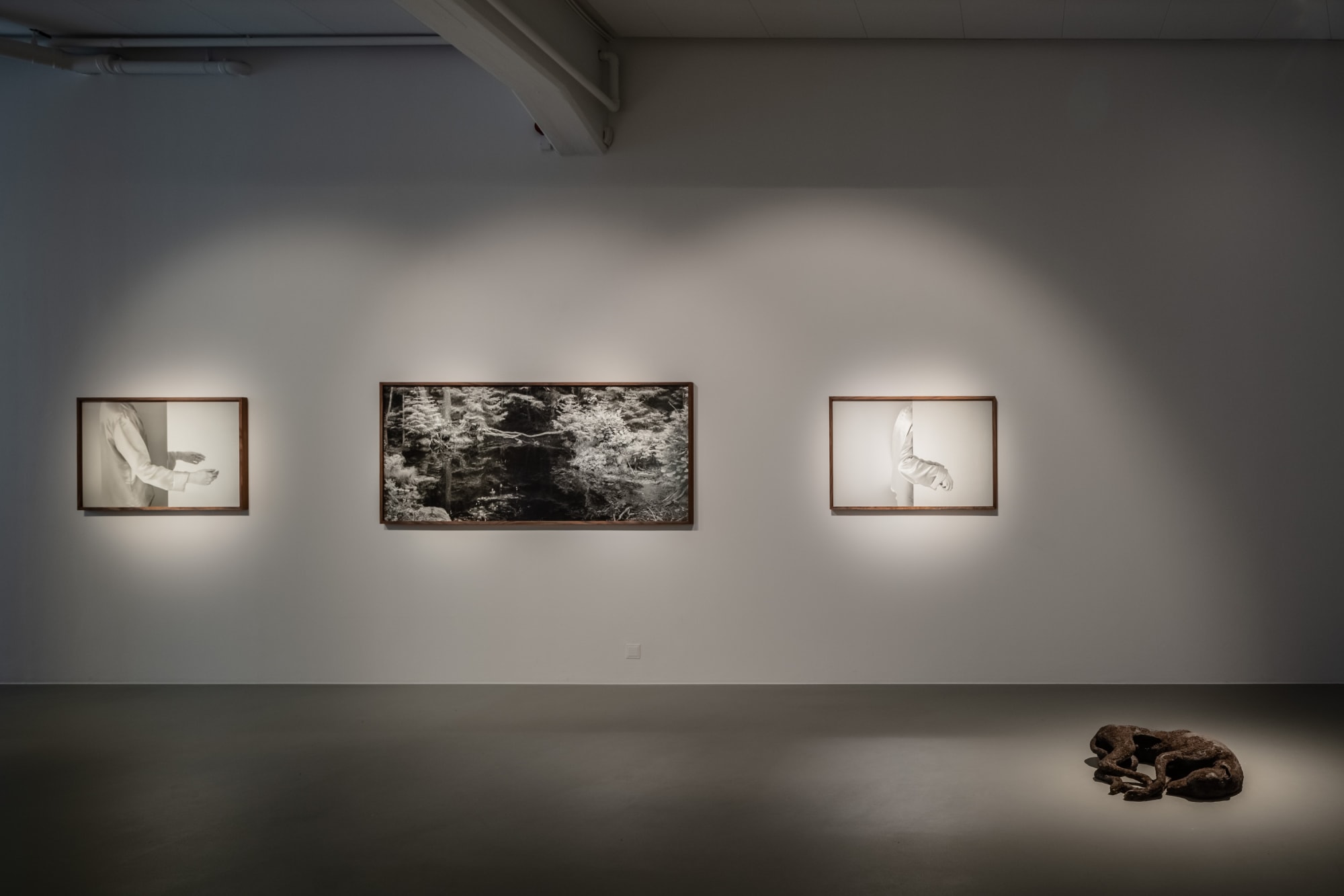Installation view, Lovisa Ringborg, Skuggrummet, 2020, Cecilia Hillström Gallery. Photo: Jean-Baptiste Béranger