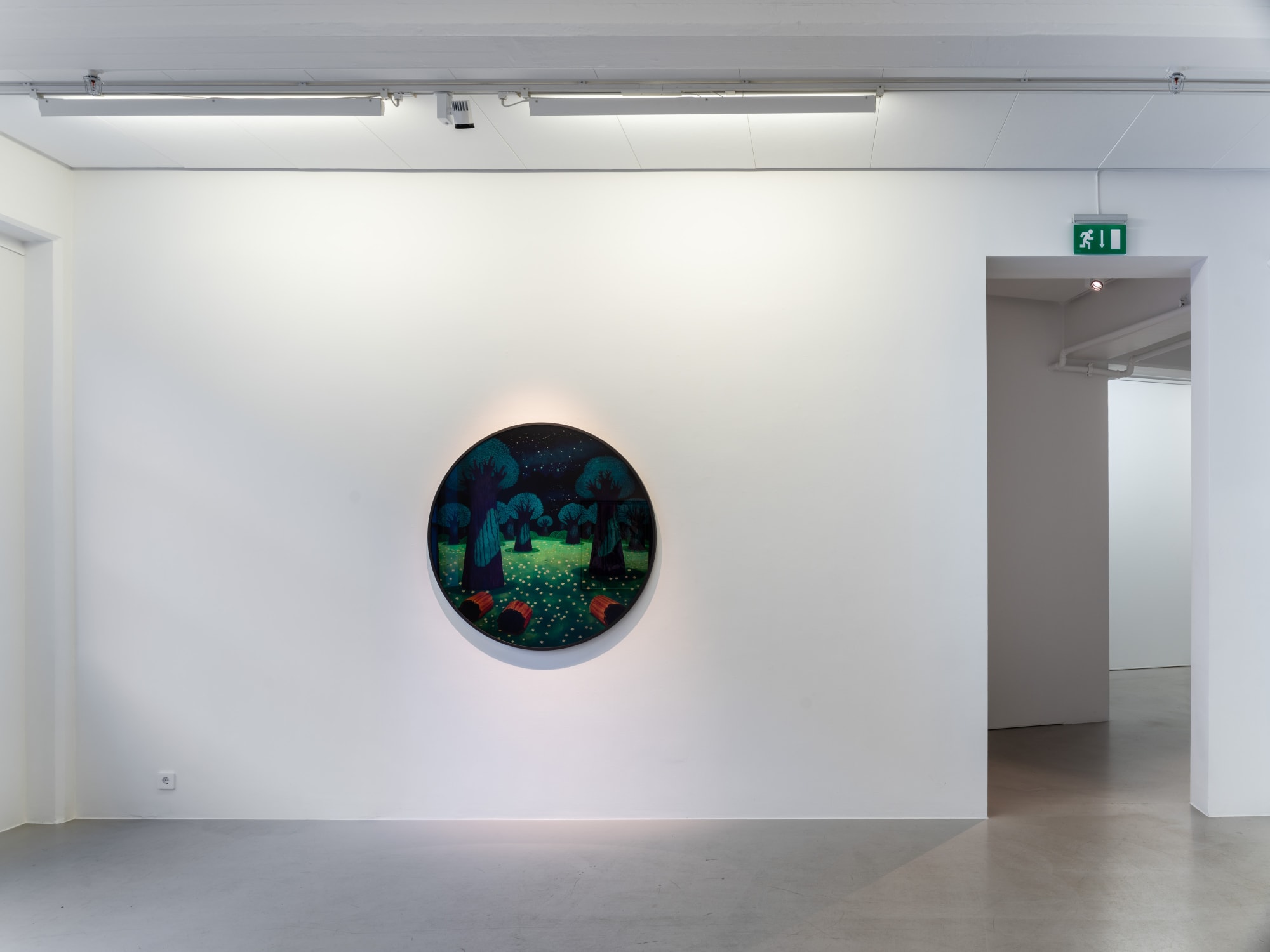Per Wizén, Trespassers, 2019, installation view, Photo: Jean-Baptiste Béranger