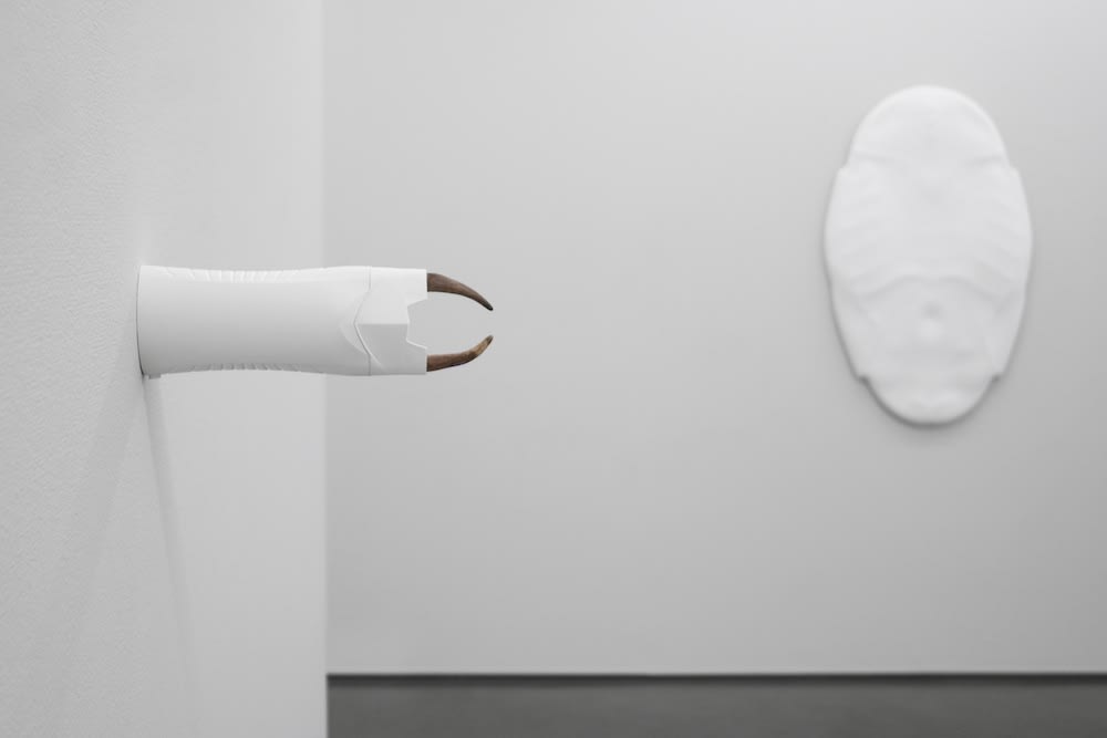 Installation view, Ohlsson/Dit-Cilinn, Hibernaculum, 2017, Cecilia Hillström Gallery. Photo: Jean-Baptiste Béranger