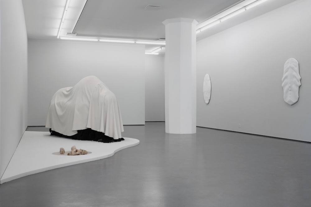 Installation view, Ohlsson/Dit-Cilinn, Hibernaculum, 2017, Cecilia Hillström Gallery. Photo: Jean-Baptiste Béranger